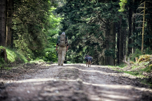 Helikon - SFU Next® Hose - Schwarz - SP-SFN-PR-01