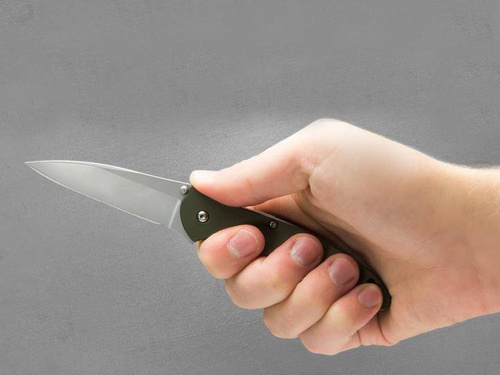 Kershaw - Leek-Klappmesser - 1660OL