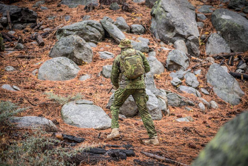 Direct Action - Ghost MkII Rucksack® - Ranger Green - BP-GHST-CD5-RGR