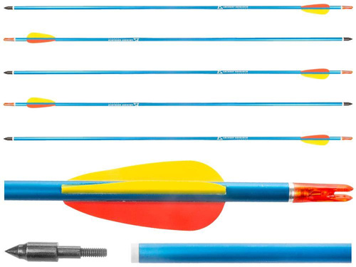 Poe Lang - 30" Aluminium Pfeil - spitze Klinge - Blau - 5 Stück