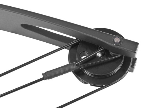 Poe Lang - Cobra Protex Compoundbogen - Linkshänder - 55 lb - Schwarz