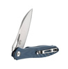 Ganzo - Firebird Klappmesser - D2 - Grau - FH71-GY