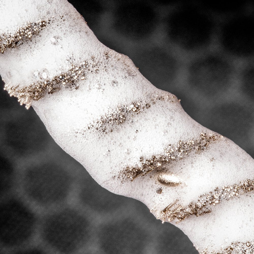 Real Avid - Bore-Max Speed Brush - 12 GA - AVBMSB12G