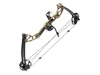 Poe Lang - Flaschenzugbogen Rex Quad - 20-65 lb - 28" - Camo - CO-029F