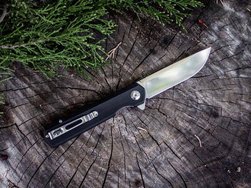 Ganzo - Firebird Klappmesser - Schwarz - FH11-BK