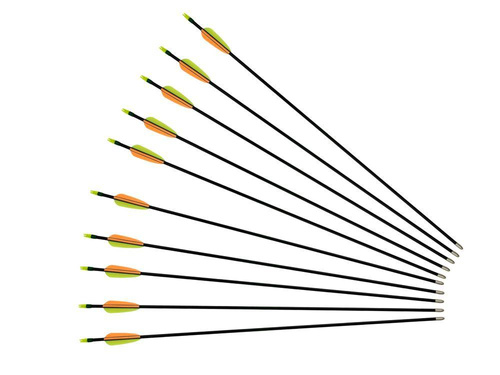 Poe Lang - Glasfaserpfeil - 30" - Glatte Zielspitze - Schwarz - D-065K/VD-065K