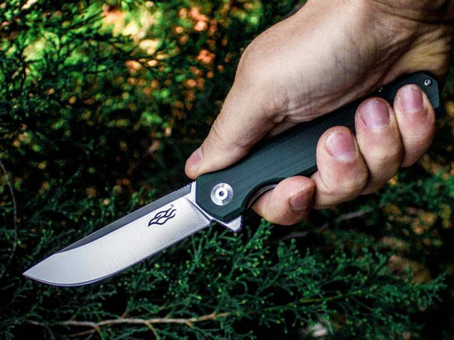 Ganzo - Firebird FH11 EDC Klappmesser - Liner Lock - D2 - FH11-GB