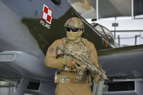 Direct Action - Taktische Weste Plattenträger Spitfire - MultiCam - PC-SPTF-CD5-MCM