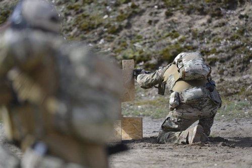 Direct Action - Spitfire Mk II Rucksack Panel - 12L - MultiCam - PL-SPBK-CD5-MCM