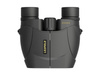 Leupold - BX-1 Rogue Fernglas - 10x25 - 59225