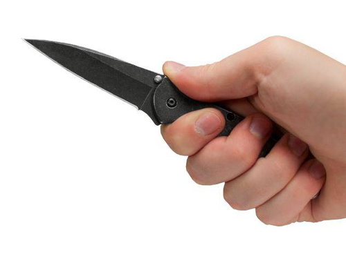 Kershaw - Leek Klappmesser - 1660BLK