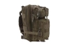 GFC Tactical - Rucksack Assault Pack - Olive - GFT-20-001269