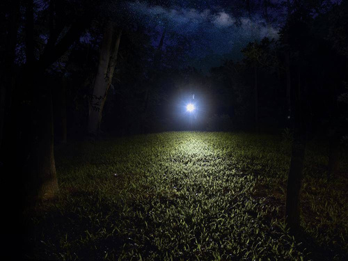 Fenix - LED-Taschenlampe E12 V2.0 - 160 lm