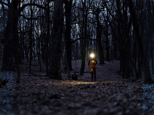 Fenix - LED Stirnlampe - 240 Lumen - AA - Schwarz - HM23