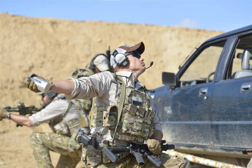 Direct Action - Rauchgranaten-Tasche - Coyote Brown - PO-SMKE-CD5-CBR