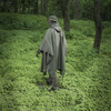 M-Tac - Regenponcho - Olive - 20301001