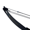 Poe Lang - Flaschenzugbogen Cobra Protex 2.0 - 55 lb - 40.2" - Schwarz - CO-047B-5529