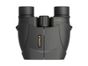 Leupold - BX-1 Rogue Fernglas - 8x25 - 59220