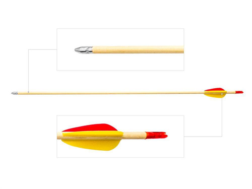Poe Lang - Bogenpfeil - Holz - 24" - Glatte Spitze