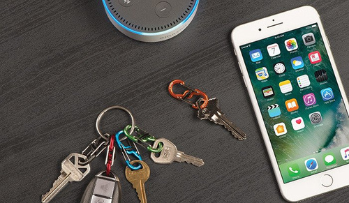 Nite Ize - S-Biner® TagLock™ Aluminium - 2 Stk. - Blau - PLSBMA-03-2R6