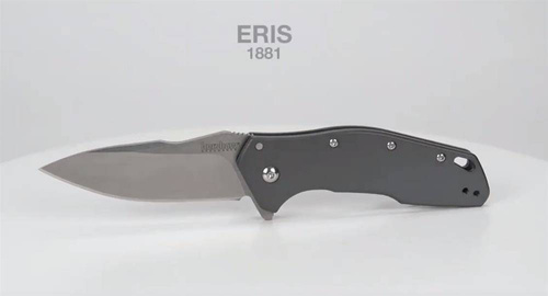 Kershaw - Eris Klappmesser - Grau - 1881