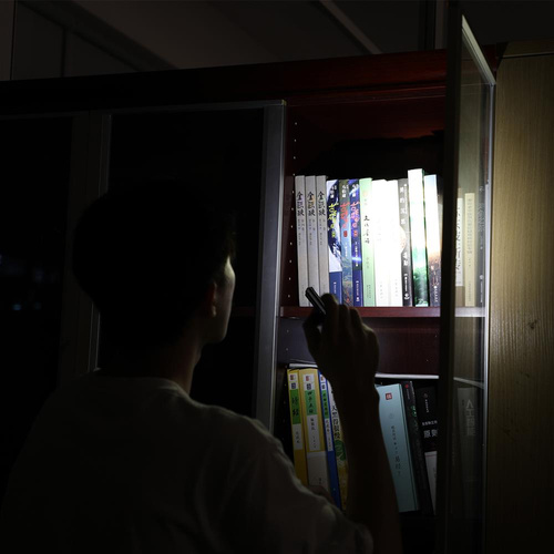 Fenix - Taktischer Stift EDC - Schwarz - T6 black