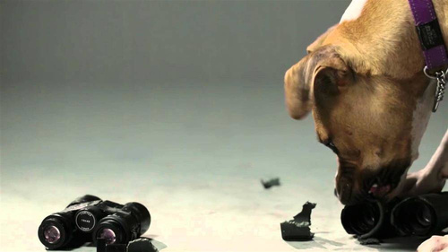 Vortex Optics - Diamondback HD 8x32 Fernglas - DB-212